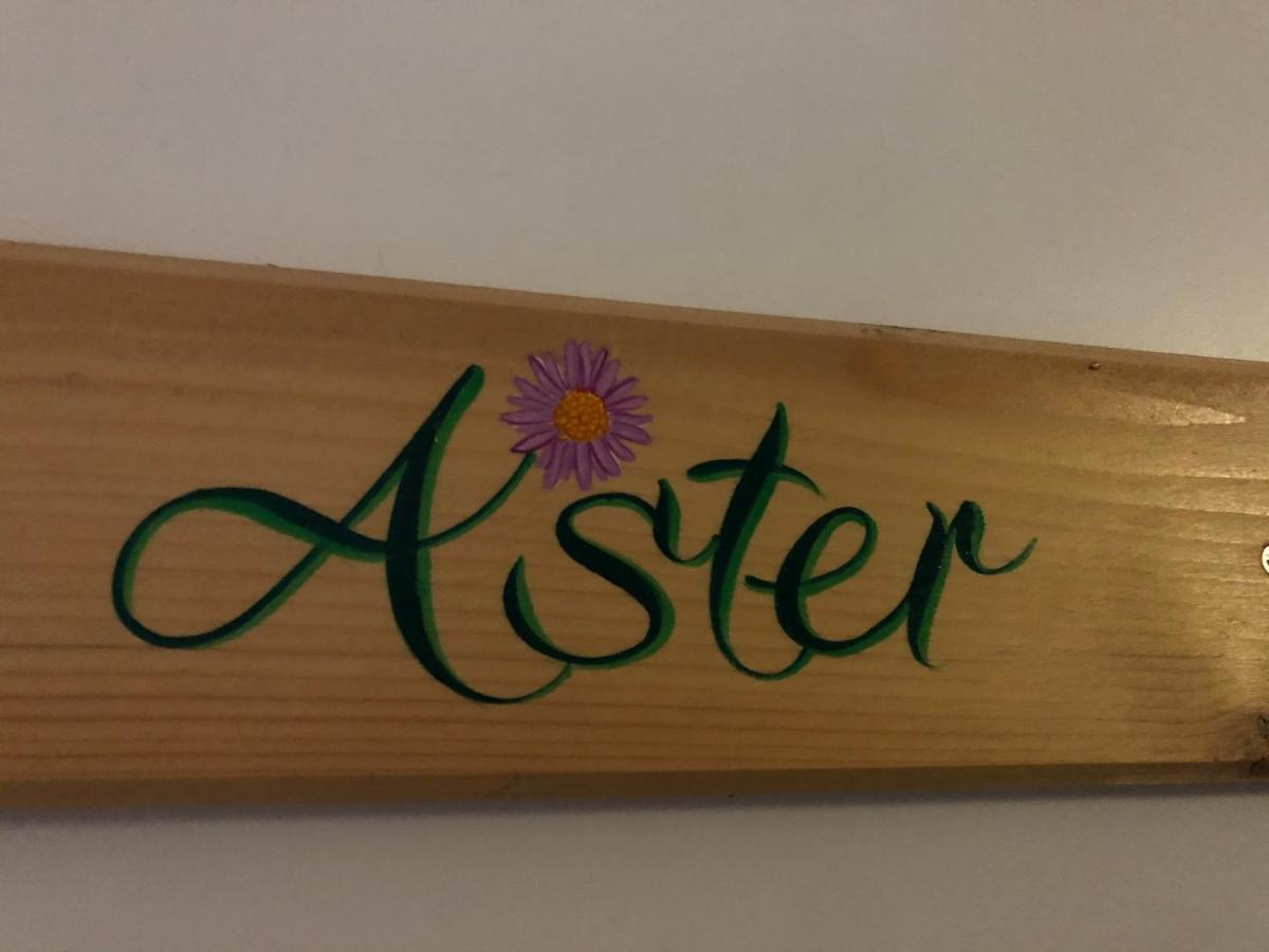 קאוטרט Aster Residence Laureane 1Er Etage מראה חיצוני תמונה